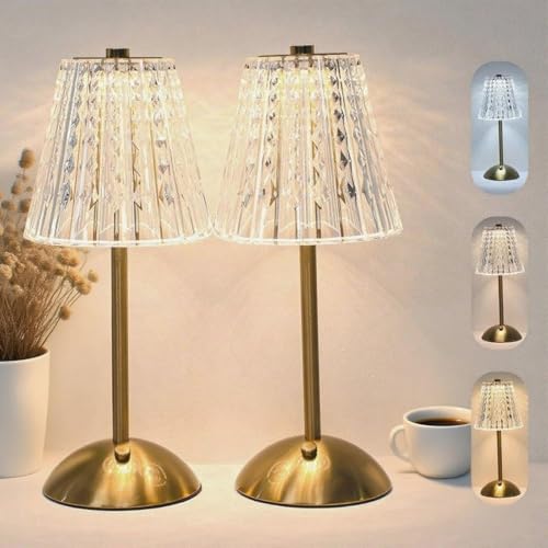 2 Pcs Cordless Rechargeable Table Lamp