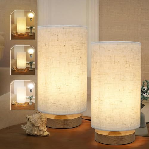 Minimalist Bedside Table Lamps for Bedrooms Set of 2 (2 Count)