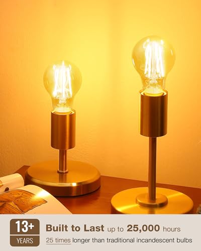 A19 Amber Edison Bulbs (6 Count)