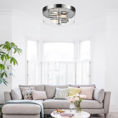 Flush Mount Ceiling Light Fixtures (2 Count)