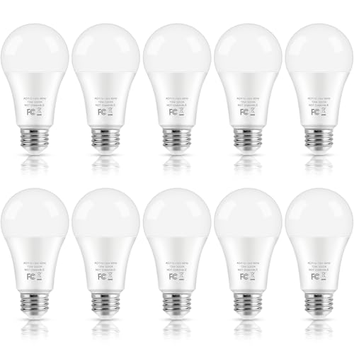 LED Light Bulbs (10 Count)