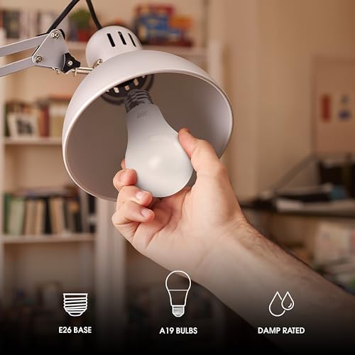 Enhance A19 LED Light Bulb (2 Count)