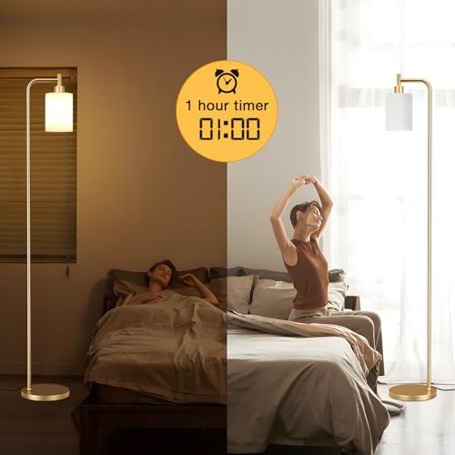 Floor Lamps for Living Room