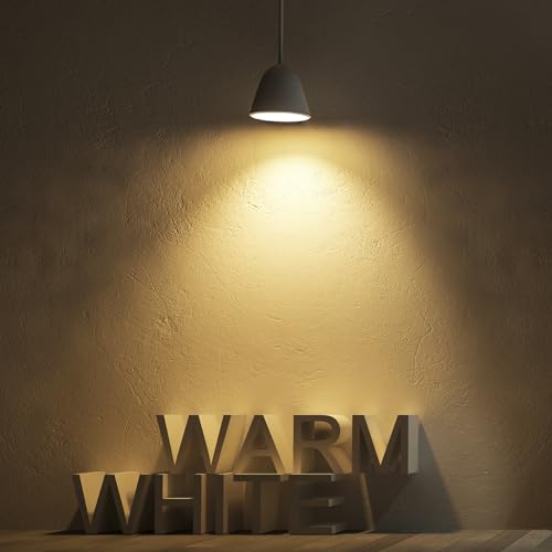 ST19 Vintage LED Edison Bulbs