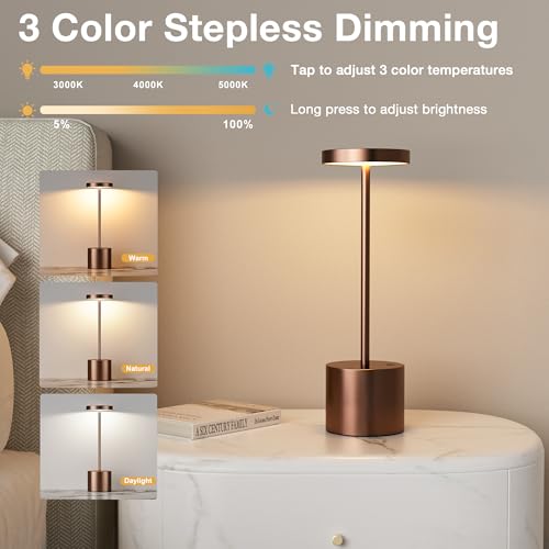 Brown Cordless Lamp Set (2 Count)