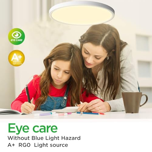 LED Ceiling Light