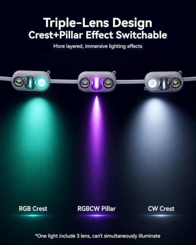 Permanent Outdoor Lights CrestPillar (100 Foot)