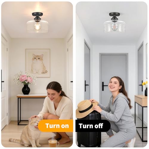 Small Semi Flush Mount Ceiling Light Fixture