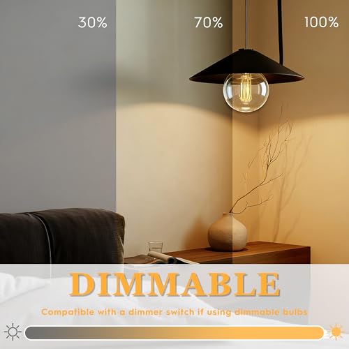Large Round Light Bulb Vintage Edison LED Dim Soft Warm Clear G125