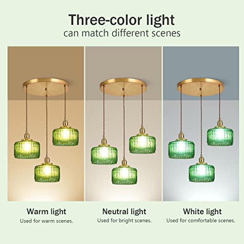 3 Light Modern Chandelier Pendant Light