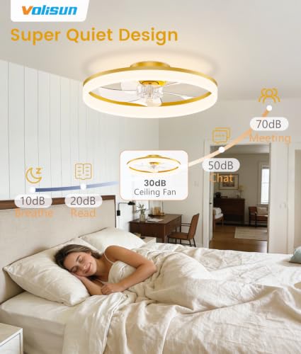Low Profile Ceiling Fans with Lights and Remote