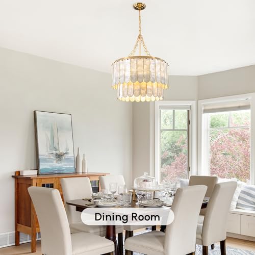 Modern 5 Light Shell Chandelier
