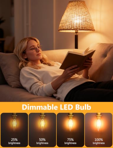 Chandelier Light Bulbs (12 Count)