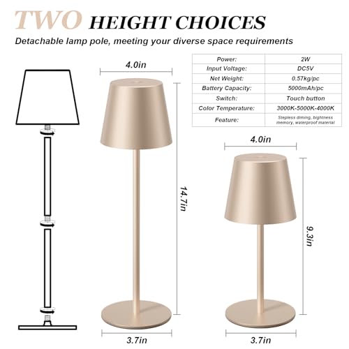Champagne Gold Cordless Table Lamp Rechargeable (2 Count)