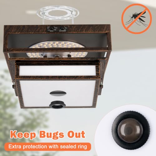 LED Motion Sensor Outdoor Ceiling Light Dusk to Dawn Black Brushed Gold