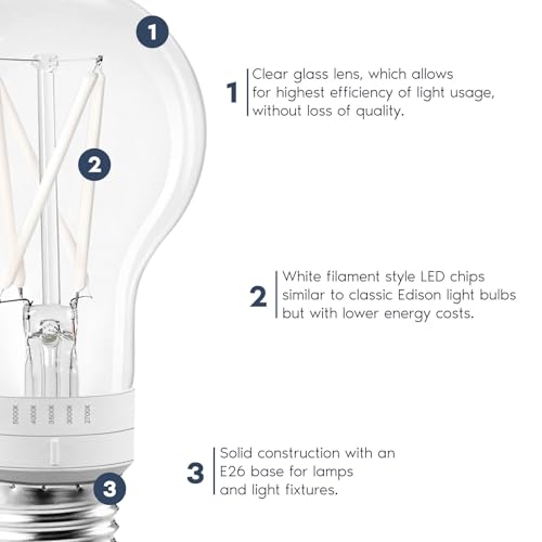 Vintage A19 LED Light Bulb 60 Watt Equivalent (4 Count)