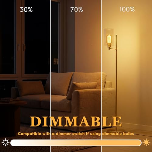 Decorative Light Bulb E26 Vintage Edison LED Dim Soft Warm Amber T45