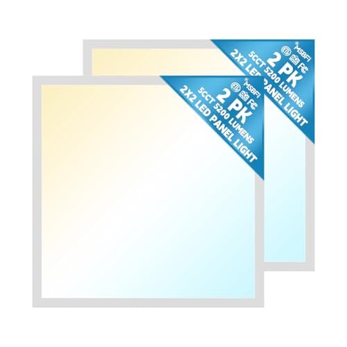 2x2 LED Flat Panel Light 2 (2x2 2Pack)