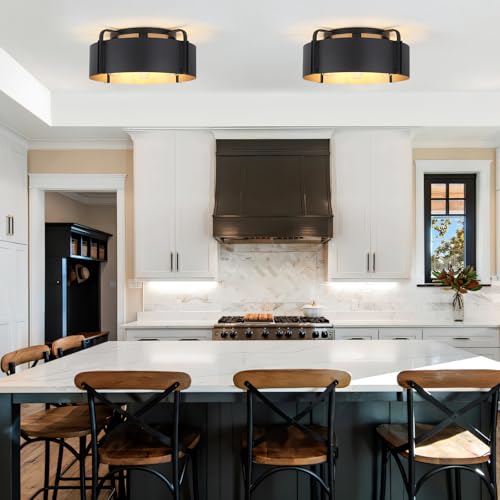 Flush Mount Ceiling Light