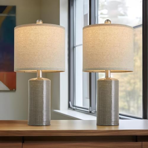 Small Table Lamps Set of 2 for Living Room 20.25" Grey Lamps Bedside Lamps (2 Count)