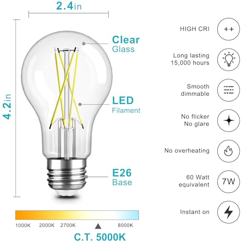 A19 LED Edison Light Bulb (24 Count)