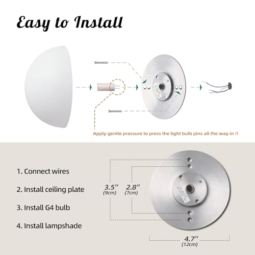 Modern Globe Glass Wall Sconces Set of 2 (2 Count)