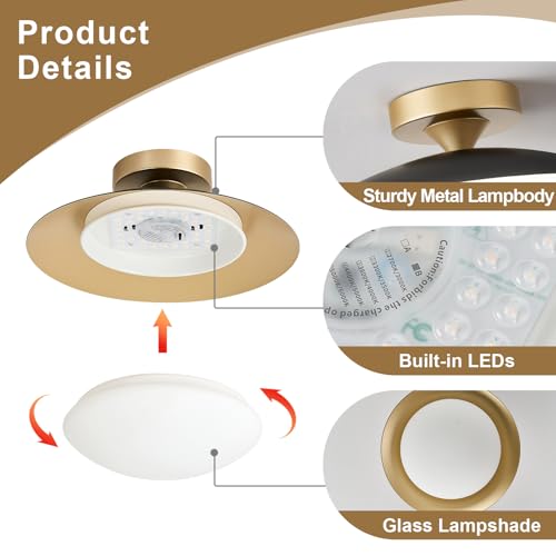 Dimmable Modern Mid