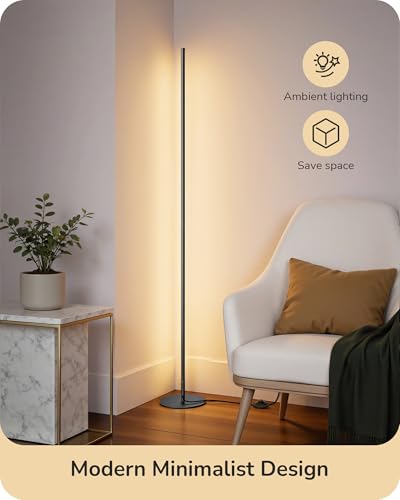 2 Pack 57.5” Floor Lamp with Remote (2 Count)