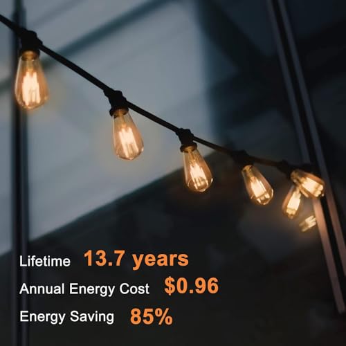 LED Edison Light Bulbs