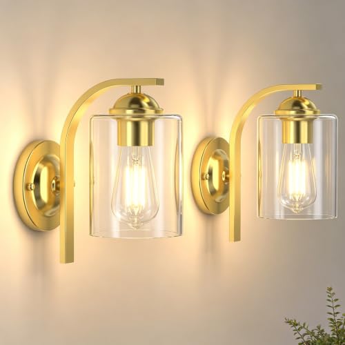 2 Pack Wall Sconces Lights Lamp for Bedroom Bathroom (2 Count)