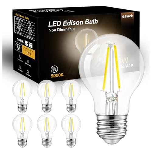 A19 Vintage LED Edison Bulbs (6 Count)