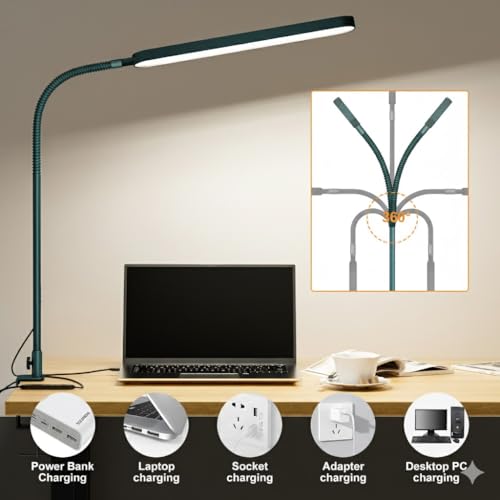 LED Desk Lamp