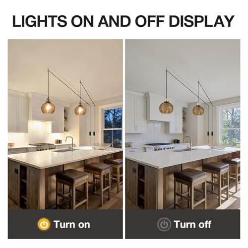 Modern Plug in Hanging Light