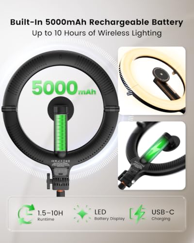 Ring Light with Stand