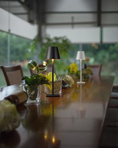 Cordless Black Table Lamp
