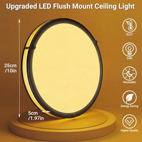 10Inch Flush Mount Ceiling Lights