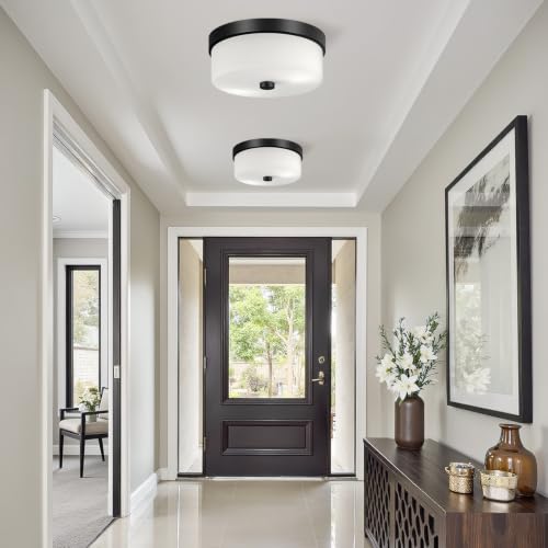 Black Flush Mount Ceiling Light Fixtures