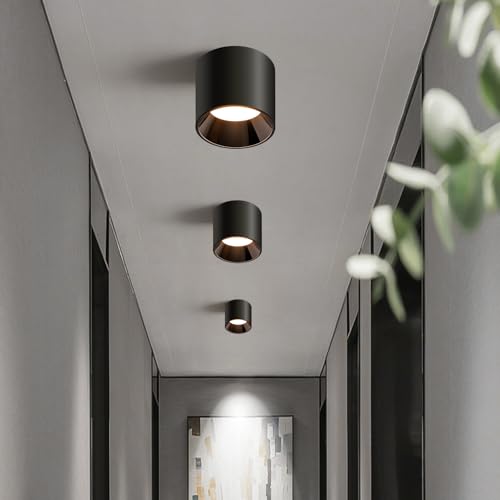 Hallway Light Flush Mount Modern LED Ceiling Light Fixtures for Kitchen Entryway