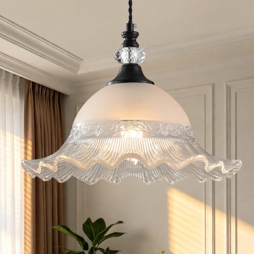 1 Pack Vintage Matte Black Crystal Transparent Glass Pendant Light Fixtures (Black / 1-Light)
