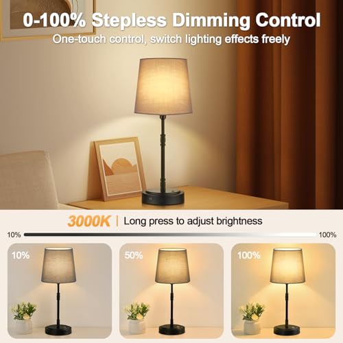 Cordless Table Lamps Set of 2 (2 Count)