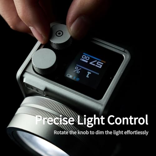 Mini II 20W LED Video Light