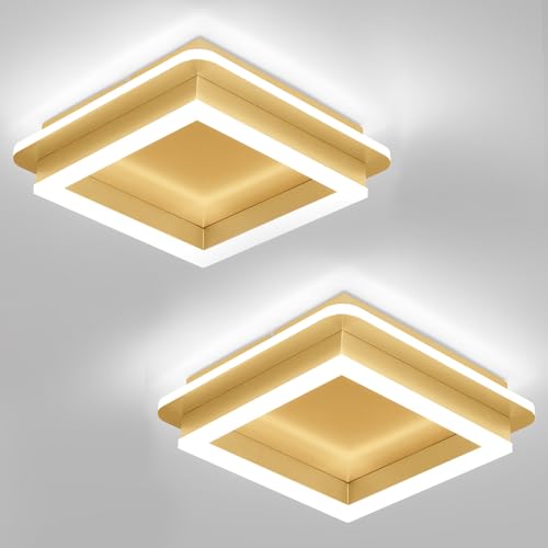 2 Packs Square Modern LED Light Fixture