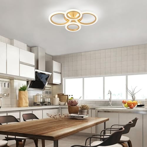 Modern LED Ceiling Light