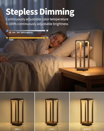 Cordless Waterproof Table Lamps Set of 2 (2 Count)