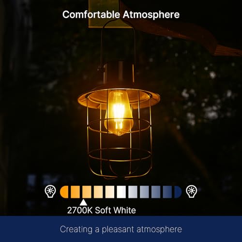 Dusk to Dawn Outdoor Sensor ST19 LED Light Bulb (4 Count)
