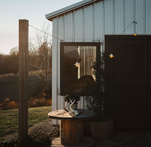 Edison Pendant String Lights