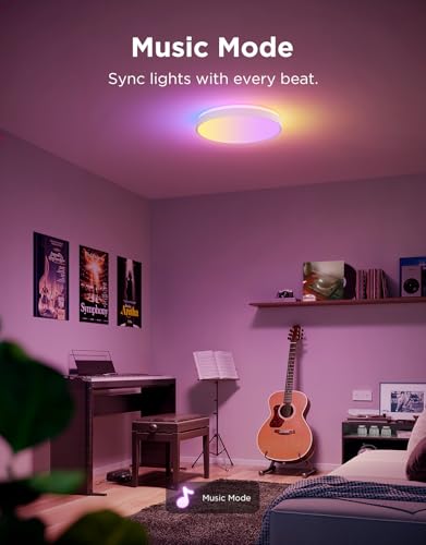 Smart Ceiling Light 4300LM 15 Inch