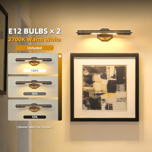 Bronze Vintage Picture Light Hardwired