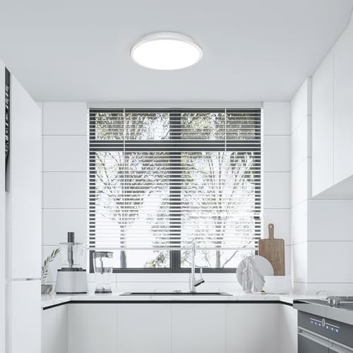 2 Pack 12 Inch Ceiling Light (2 Count)