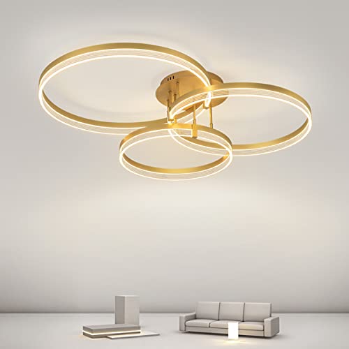 Chaners Ceiling Light Acrylic Ring Ceiling Light LED with Remote Control Dining Room Bedroom Lamp Living